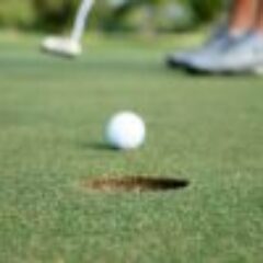 The Villages Women’s Nine Hole Golf Club